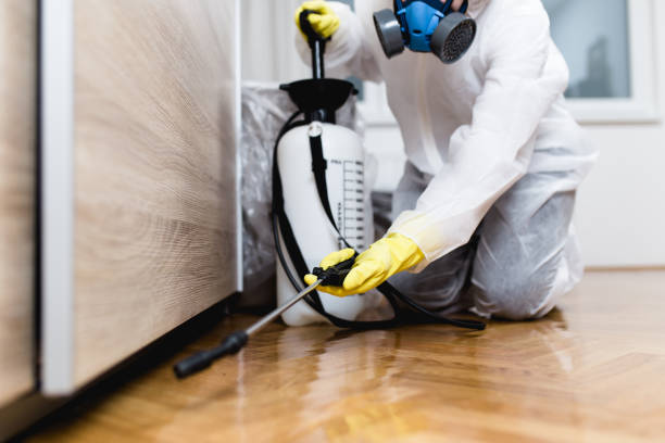 Best Emergency Pest Control  in Derby, KS