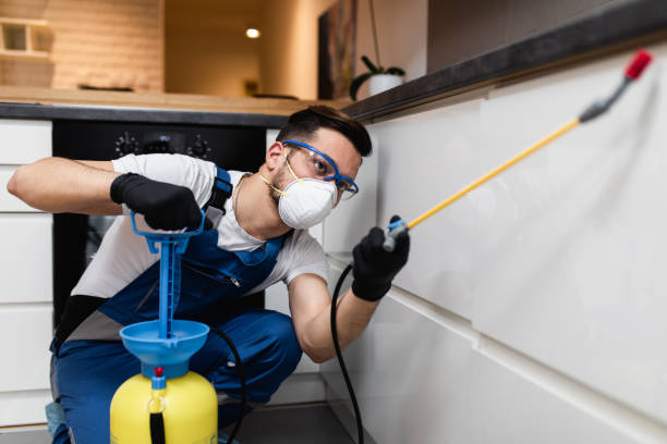 Best Termite Control Services  in Derby, KS