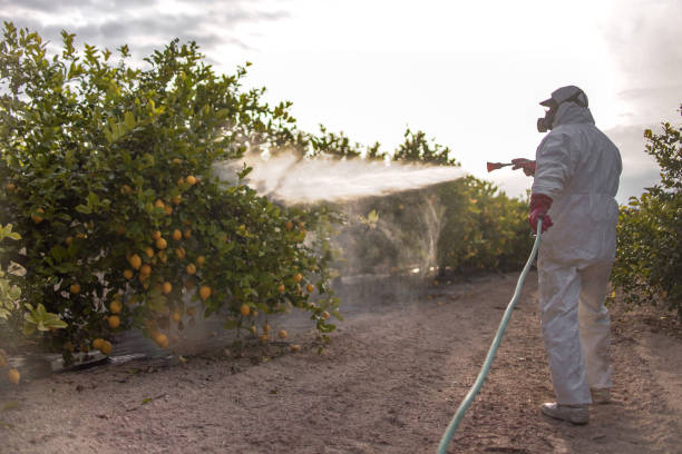 Best Commercial Pest Control Services  in Derby, KS