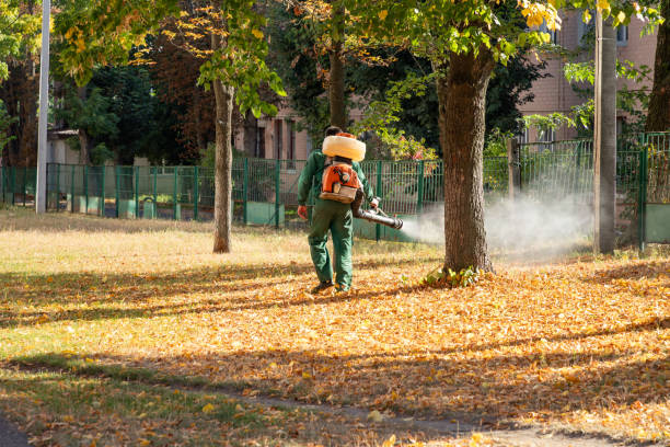 Best Exterminator Services  in Derby, KS